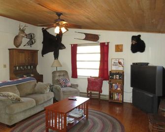 Black Bear Lodge- Creekside, Mountain Seclusion! - Candler - Sala de estar