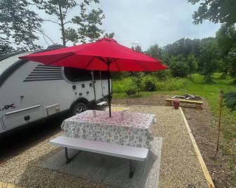 Cozy RV on 149 acres in Charleston with AC, WiFi, and eight miles of trails! - Charleston - Binnenhof