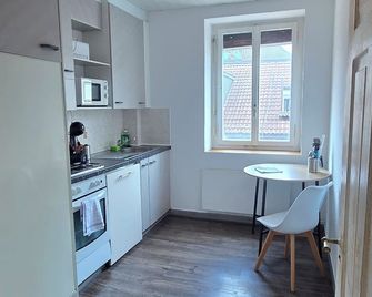 Cozy 2-bedroom apartment in vibrant Zurich - Zurich - Kitchen
