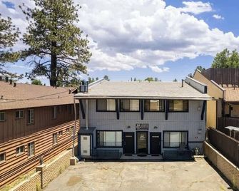 American Black Bear. Perfect Location - Big Bear Lake - Building