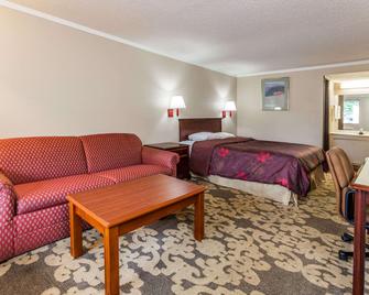 Knights Inn Detroit Area/Farmington Hills - Farmington Hills - Bedroom
