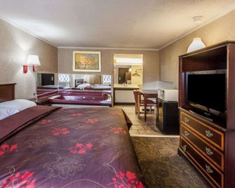 Knights Inn Farmington Hills - Farmington Hills - Schlafzimmer