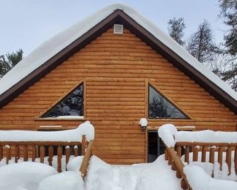 Year-Round Cabin Rental ~ Gorgeous Lakefront Property Nestled In The Woods - Munising - Patio