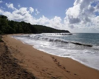 The Ohio House: 4 Bedroom Beachfront Retreat - Yabucoa - Beach