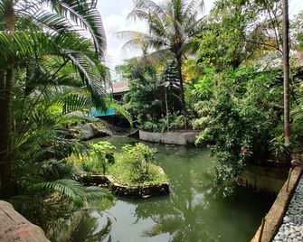 Palm Grove Eco Resort - Port Blair - Outdoor view