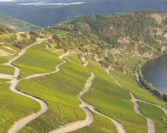 Helle Freundliche Fewo mit Tollem Blick auf Mosel und Weinberge - Piesport