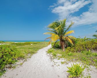 Arena y Mar Seaside Glamping Adults Only - El Cuyo - Playa