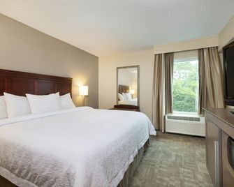 Hampton Inn Houston-Near the Galleria - Houston - Habitación