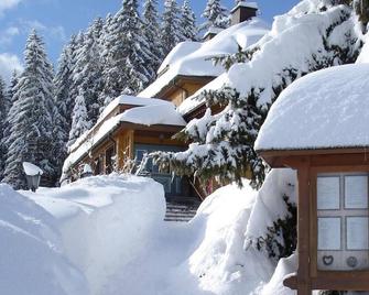 Hotel Restaurant Peterle - Feldberg - Building