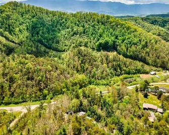 Tiny House, Wifi,hot Tub,secluded - Cosby - Outdoors view