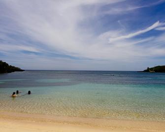 Mame Trees - Coxen Hole - Playa