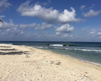 Sonscape's Cozy 1-Bdr 1-Bath Private Guest Suite Opens Right Onto the Beach! - Cayman Brac - Playa