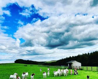 High Paradise Farm - Thirsk