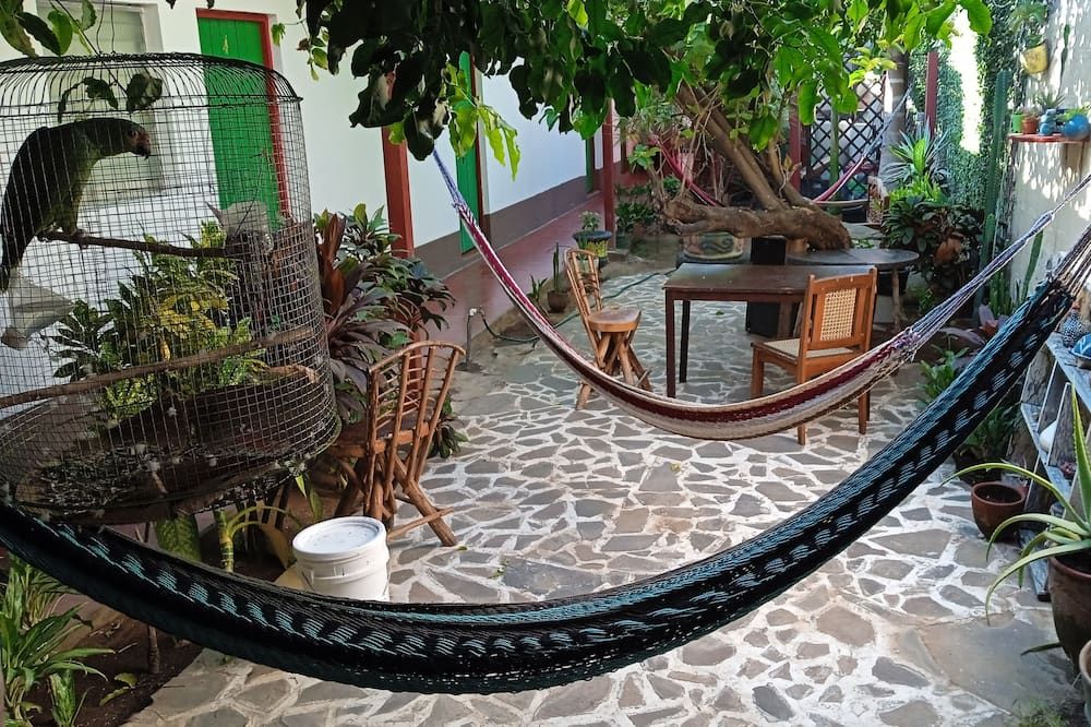 Hostal Vacaciones Nicas - לאון - פטיו