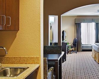 Furnished Rooms With Breakfast, Internet, Swimingpool, Parking, Fitness Center - Houston - Comodidade do quarto