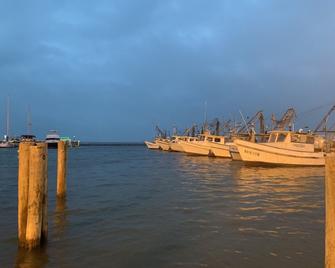 Perfect Place in a Perfect Location - Fulton - Living room