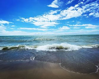 Brand New Walk Out Bsmt Apt Near Beach - Pickering - Beach