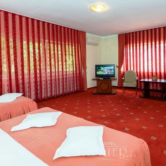 Hotel Premier image 1