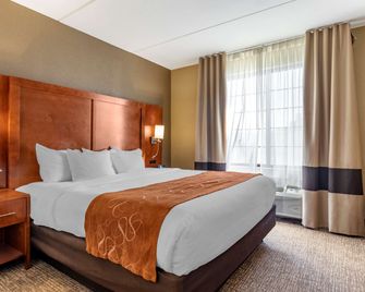 Comfort Suites Grand Rapids South - גרנד ראפידס - חדר שינה