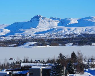 Icelandic Apartments by Heimaleiga - Kopavogur - Outdoors view