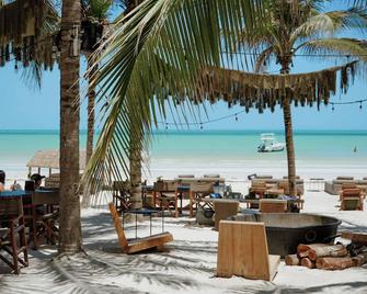 Casa Las Tortugas Petit Beach Hotel & Spa - Holbox - Playa