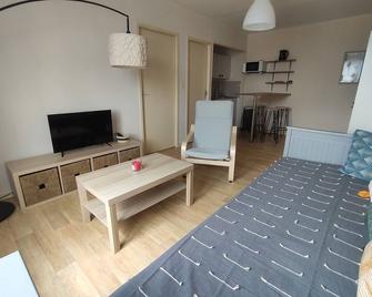 Charmant appartement - 5 mn Zoo de Beauval 4p - Saint-Aignan - Salon