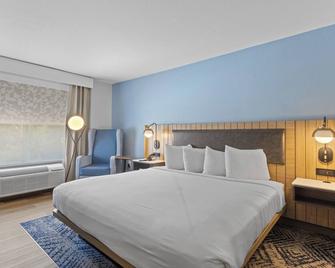 Country Inn & Suites by Radisson Savannah Airport - Savannah - Bedroom