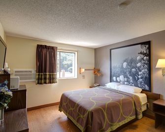Super 8 by Wyndham Zanesville - Zanesville - Slaapkamer