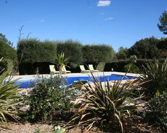 Le Mas des Tarentes between vineyards and forests - Trans-en-Provence - Pool