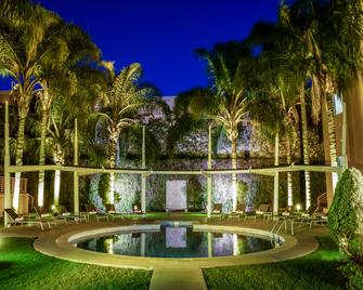 Fiesta Inn Express San Luis Potosí Oriente - San Luis Potosí - Pool