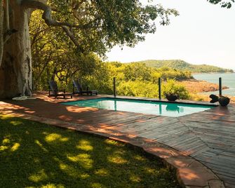 Masumu River Lodge - Binga - Pool