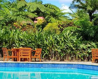 Remote, Romantic Tropical Villa with outdoor pool—15-minute walk to the beach! - Natewa - Piscina