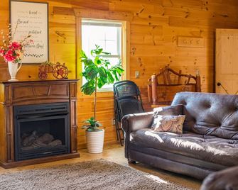 Family Friendly Barndominium in Amish Country (Sleeps 8) - Dundee - Living room