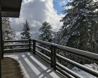 'LES RONDINS, Guzet snow chalet, direct start to slopes and hikes, panoramic view - Ustou - Balcon