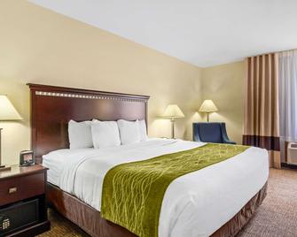 Comfort Inn Greeley - Greeley - Camera da letto