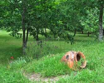 Paradise Is Real At Vale Martinho Rosa - Santa Comba Dão - Exterior