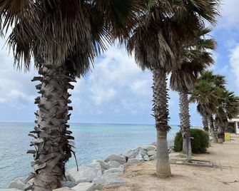 3SUITES - New building close to the beach and Barcelona - Vilassar de Mar - Strand