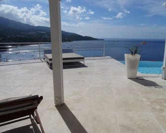 Splendid villa, infinity pool and sea view - Bouillante - Pool
