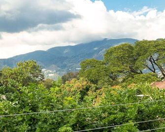 Choose To Be Happy at Seymour # 9 and #16 - Studio Apartments - Kingston - Outdoors view