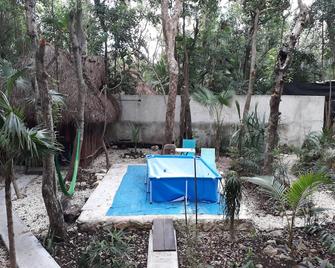 Dolce Caribe B&B - Playa del Carmen - Pool