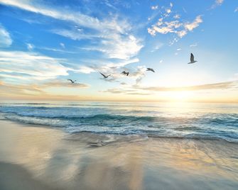Holiday Inn Express Newport Beach By IHG - Newport Beach - Strand