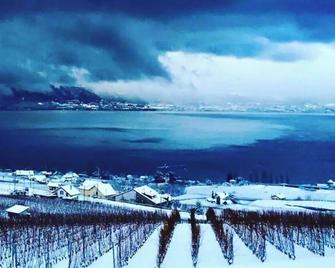 Lovely lake view apartment in Lutry/Lausanne - Lutry