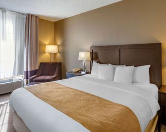 Comfort Inn Evanston I-80 - Evanston - Ložnice