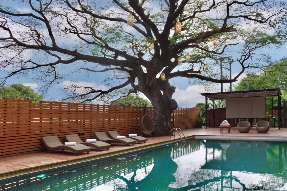 Bamboori Boutique Resort Chiang Mai - צ'אנג מאי - בריכה