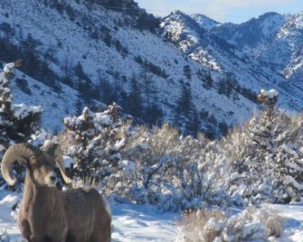 The Stewart - Cabin with Mountain views, Close to Yellowstone - Wapiti - Gebäude