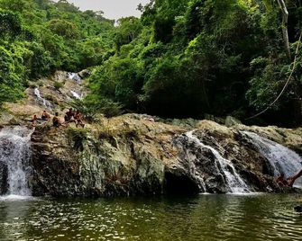 danoma river - Palomino