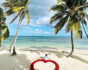 Playa Palmera Beach Resort - Punta Cana - Praia