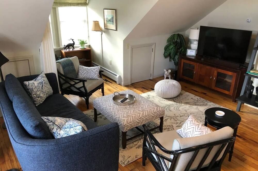 Charming 1 bedroom apartment in welcoming & walkable historic Waterbury Village - واتربوري (فيرمونت) - غرفة معيشة