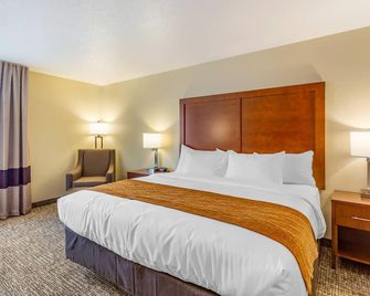 Comfort Inn Dekalb - University Area - DeKalb - Ložnice