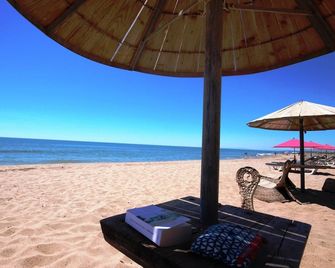 Bel Appartement climatise de plain pied 80m de la mer, wifi, grand sejour 2 chambres belle terrasse LXRM3 - Portiragnes - Beach